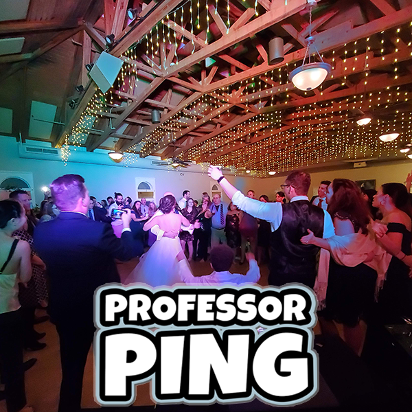 Wedding Playlists by Professor Ping